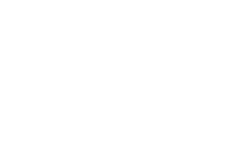 adidas white